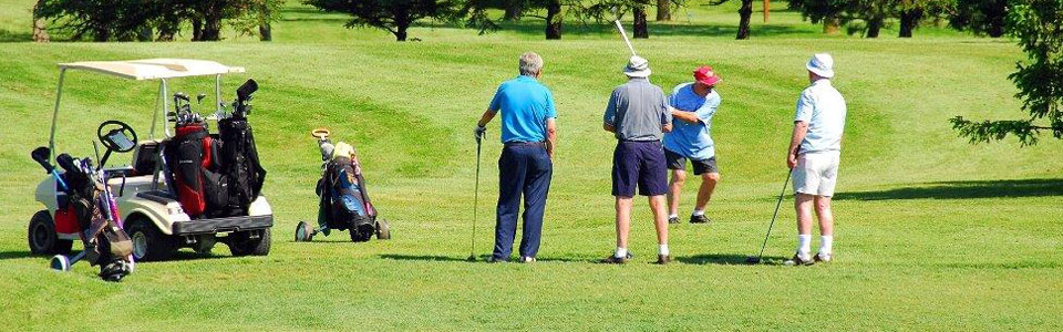 4 seniors golfing in az
